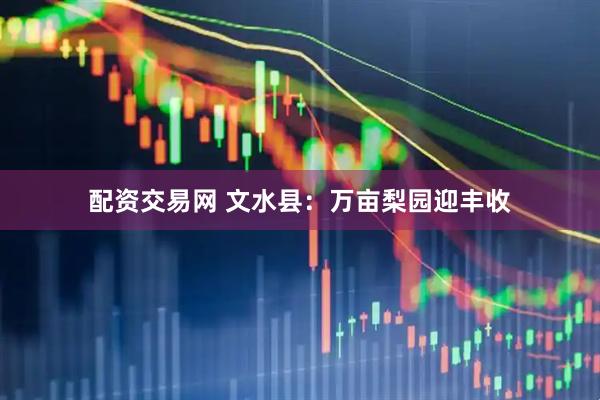 配资交易网 文水县：万亩梨园迎丰收