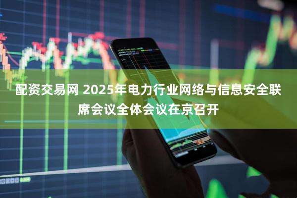 配资交易网 2025年电力行业网络与信息安全联席会议全体会议在京召开